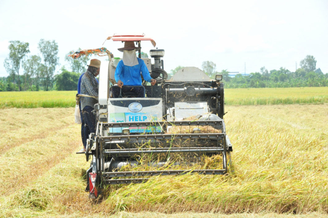 Thống kê từ Trung tâm Khuyến nông Quốc gia, mô hình canh tác lúa thông minh đang cho sản lượng tăng từ 200 – 870kg/hecta, lợi nhuận bình quân tăng 3,5 - 5,9 triệu đồng/hecta.