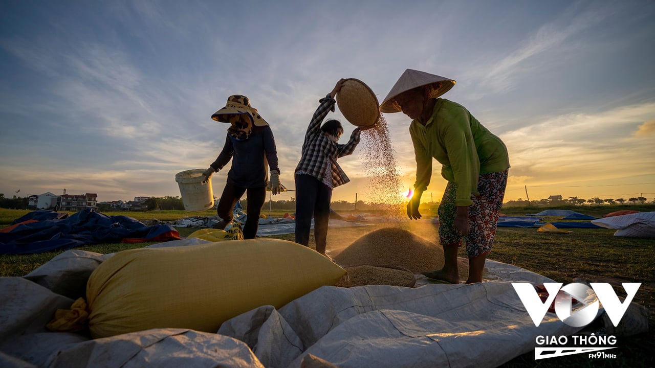 Festival Quốc tế ngành hàng lúa gạo Việt Nam – Hậu Giang 2023 sẽ tạo điều kiện để người nông dân có cơ hội được tiếp cận với những kiến thức sản xuất mới, công nghệ mới, các tiến bộ khoa học, kỹ thuật hiện đại ứng dụng trong chuyển đổi số ngành nông nghiệp nói chung và sản xuất lúa gạo nói riêng.