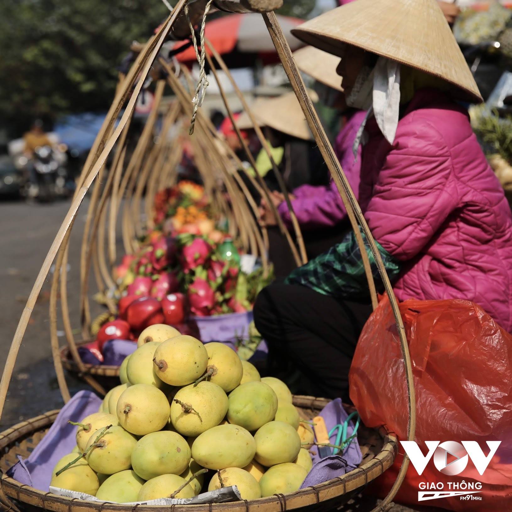 Ảnh minh họa: Quang Hùng/VOVGT