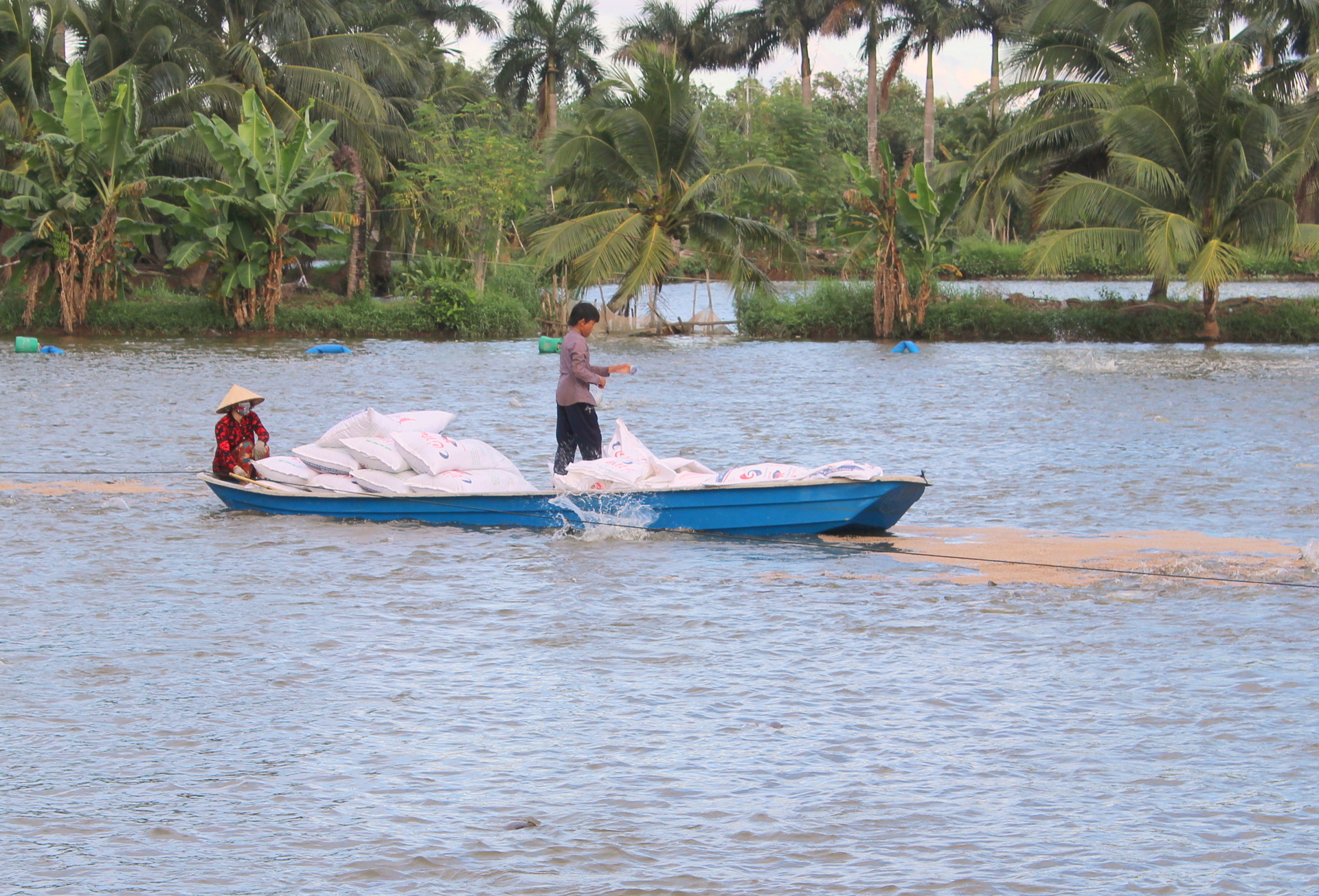 Để cải thiện thất nghiệp, ngoài công tác giới thiệu việc làm thì người lao động cũng cần trang bị kỹ năng cho chính mình, nếu có tư liệu sản xuất phải mạnh dạng đột phá để kiếm thêm thu nhập