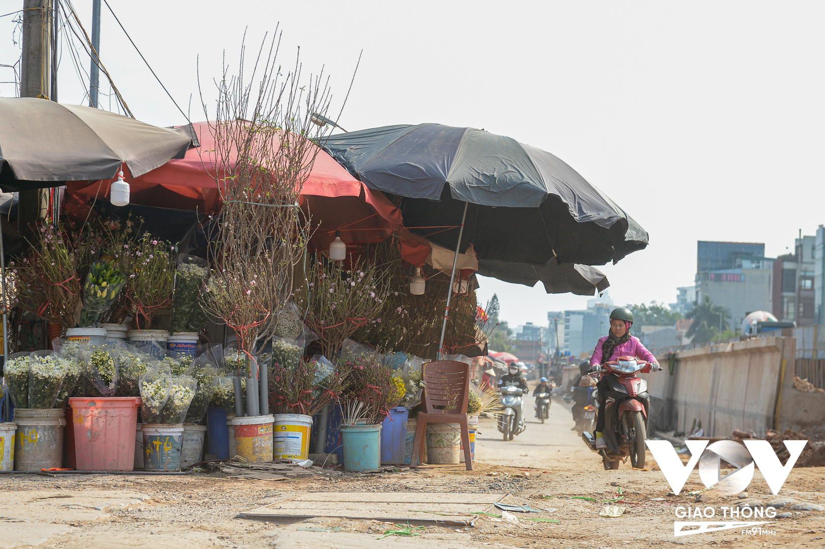 Ngoài chợ hoa Quảng Bá (Hà Nội), các tiểu thương cũng đã nhập cành đào từ đào bích, đào phai đến bạch đào về bán.