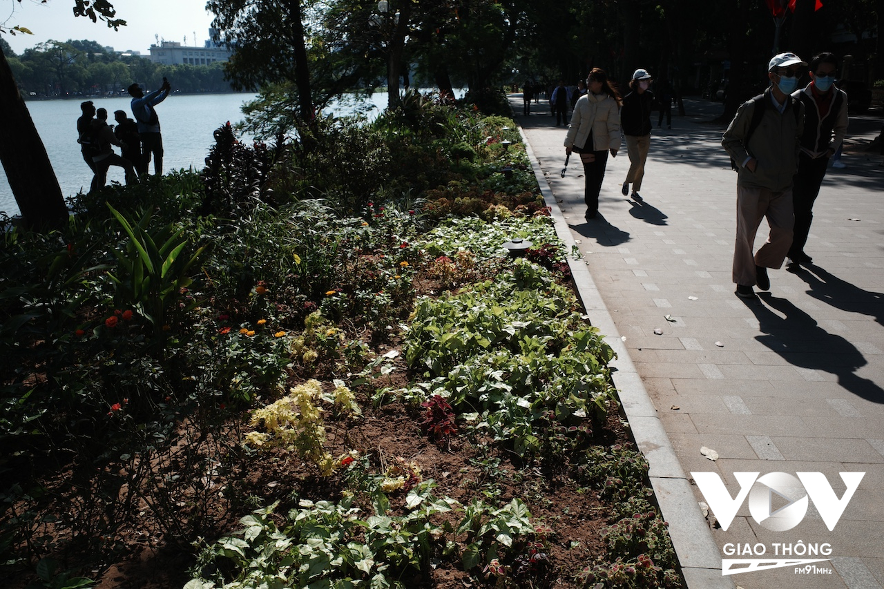 Phải mất rất nhiều công chăm sóc của các công nhân công ty cây xanh, nhưng sau 1 đêm các vườn hoa quanh Hồ Hoàn Kiếm hầu như 'tan nát' dưới những bước chân của người đi chơi lễ