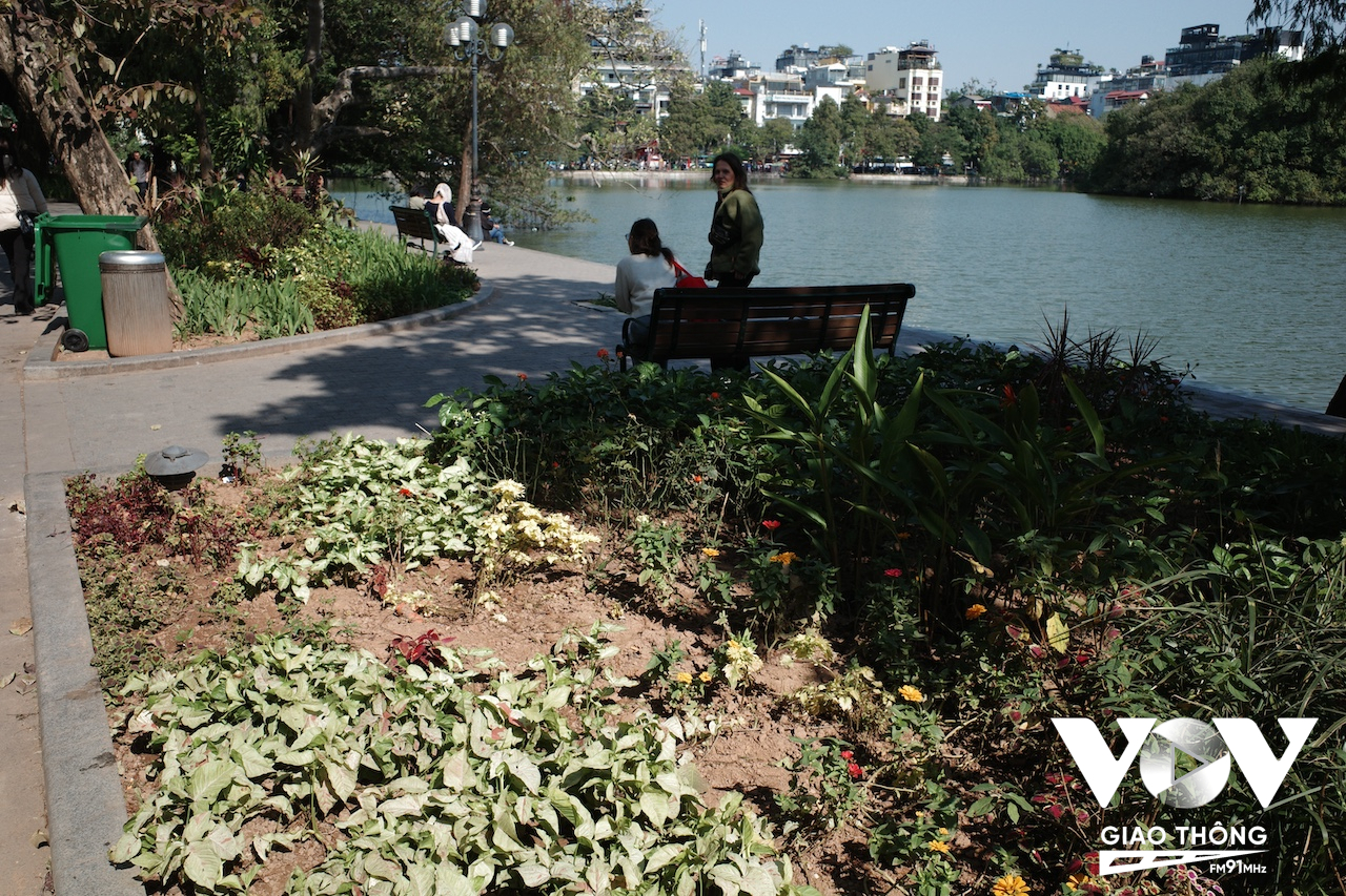 Cảnh tượng vườn hoa quanh Hồ Hoàn Kiếm bị dẫm nát không thương tiếc vì nhu cầu chụp ảnh của người đi chơi lễ Giáng sinh vừa qua