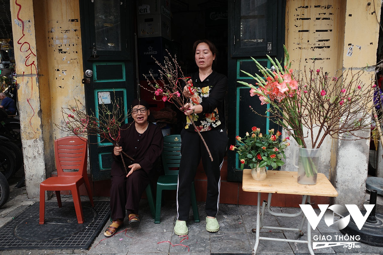 Còn gần một tháng nữa mới tới Tết Nguyên đán, nhưng nhiều gia đình đã mua hoa đào về chơi...