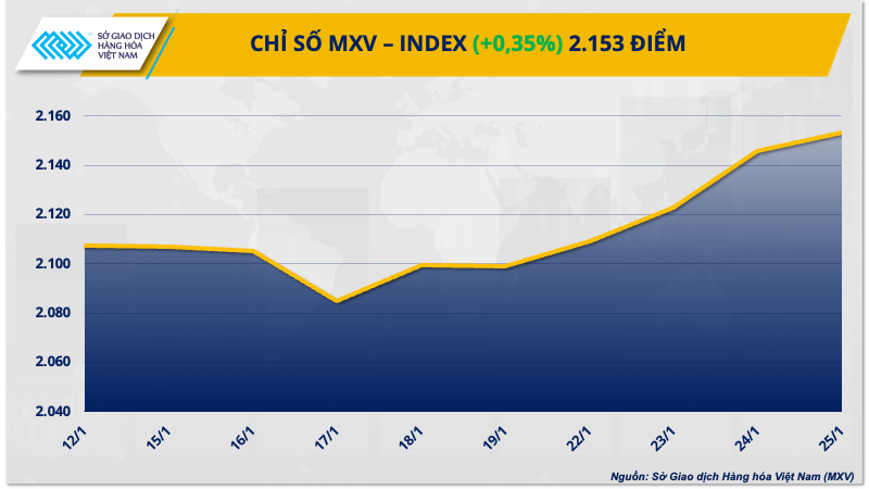 1. mxv - index resize (1)