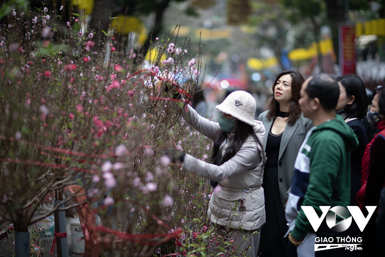 Rất ít người tới chợ hoa Hàng Lược để mua hoa đào. Những người Hà Nội kỹ tính thường đến thẳng các vườn hoa ở làng hoa đào Nhật Tân, hoặc chợ Quảng Bá để mua đúng loại hoa được trồng ở Nhật Tân