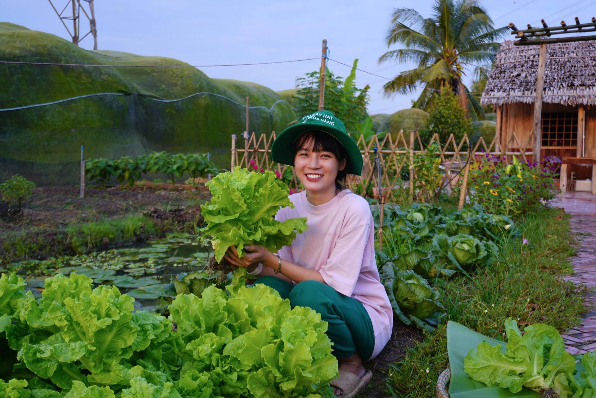 Cô nàng nông dân gen Z- Nguyễn Thị Kim Ngân với khu vườn đa dạng các loại rau, hoa quả do chính tay em chăm sóc. Ảnh: Facebook nhân vật