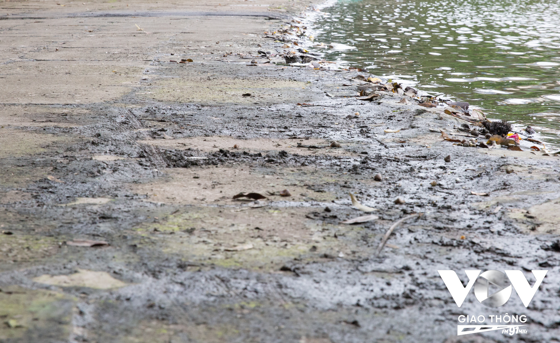 Nhiều đoạn khu vực ven hồ lầy lội, tiềm ẩn nguy cơ trơn trượt cho người đi bộ
