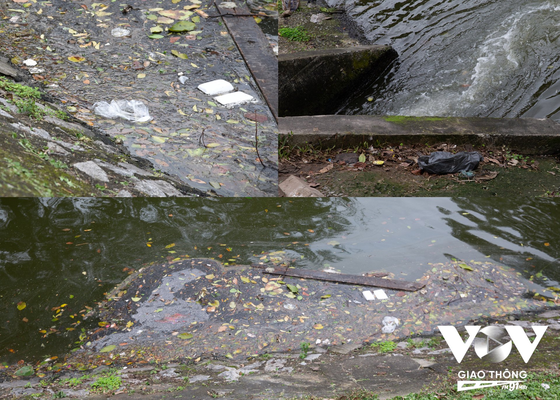 Nước hồ đang trong tình trạng ô nhiễm, rác bẩn bốc mùi hôi thối nổi đầy trên mặt hồ