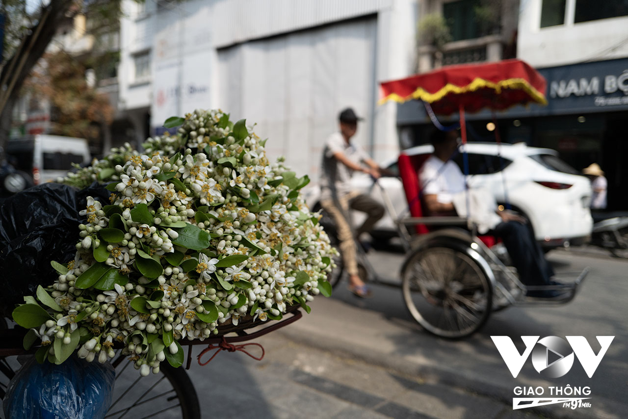 Những hàng hoa bưởi thơm ngát khắp mọi ngóc ngách phố phường, luôn đủ sức hấp dẫn níu chân các cô gái dừng lại mua một vài cành về nhà