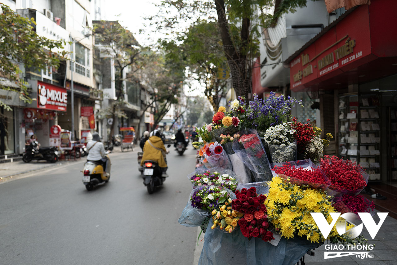 Những hàng hoa đặc trưng cho mùa xuân rực rỡ khắp đường phố