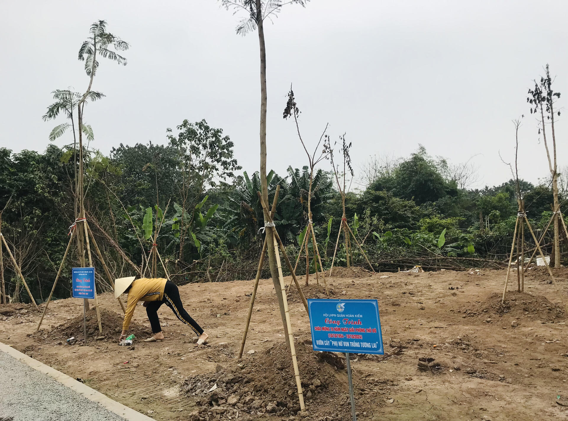 Chị Đặng Thị Dung, Chi hội trưởng chi hội phụ tổ dân phố số 2, phường Phúc Tân thường xuyên chăm sóc những cây xanh mới trồng