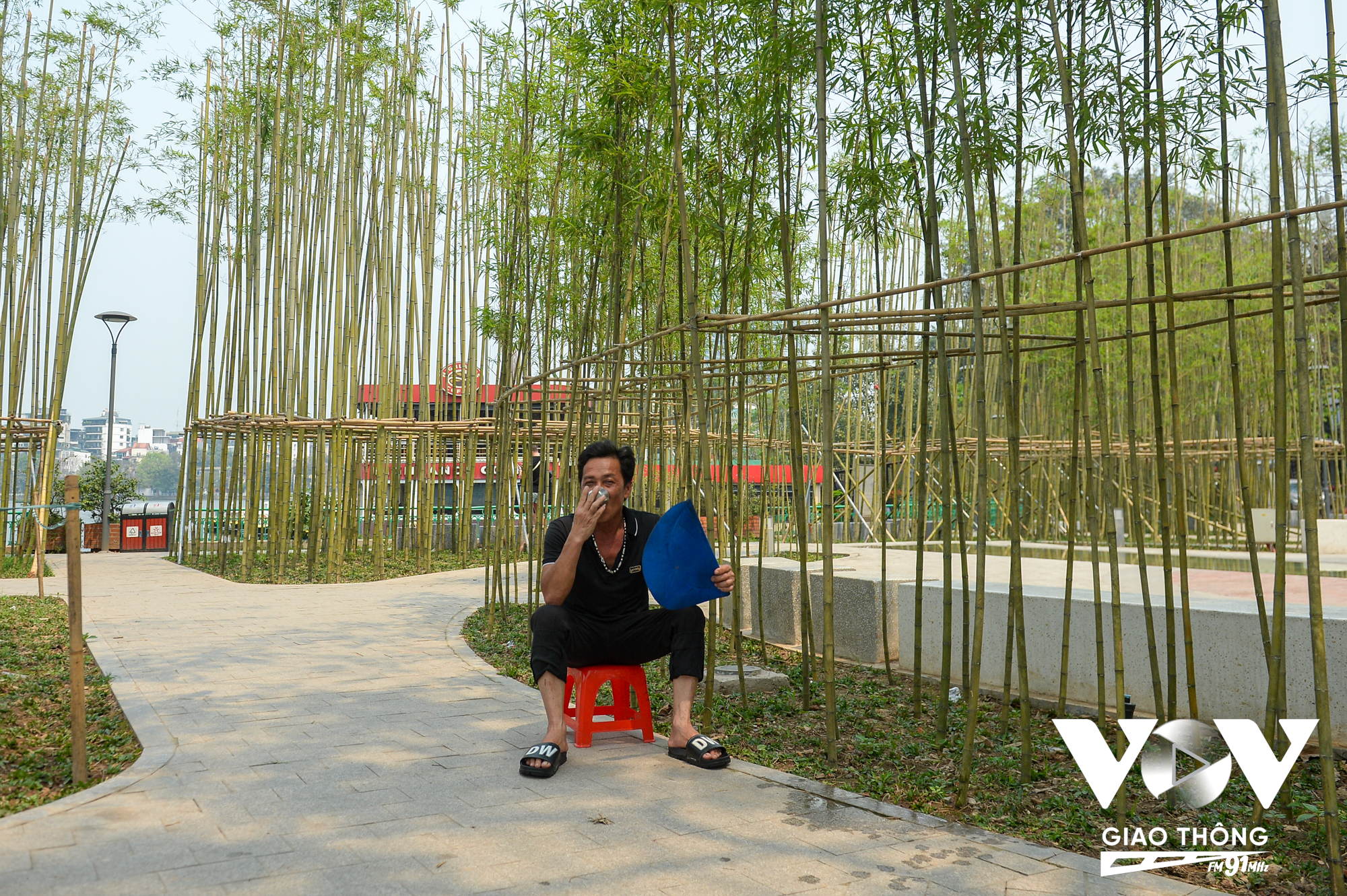 Vườn trúc nằm bên hồ Trúc Bạch, quận Ba Đình (Hà Nội) là một nơi lý tưởng để nghỉ ngơi vào những ngày nắng nóng như thế này.