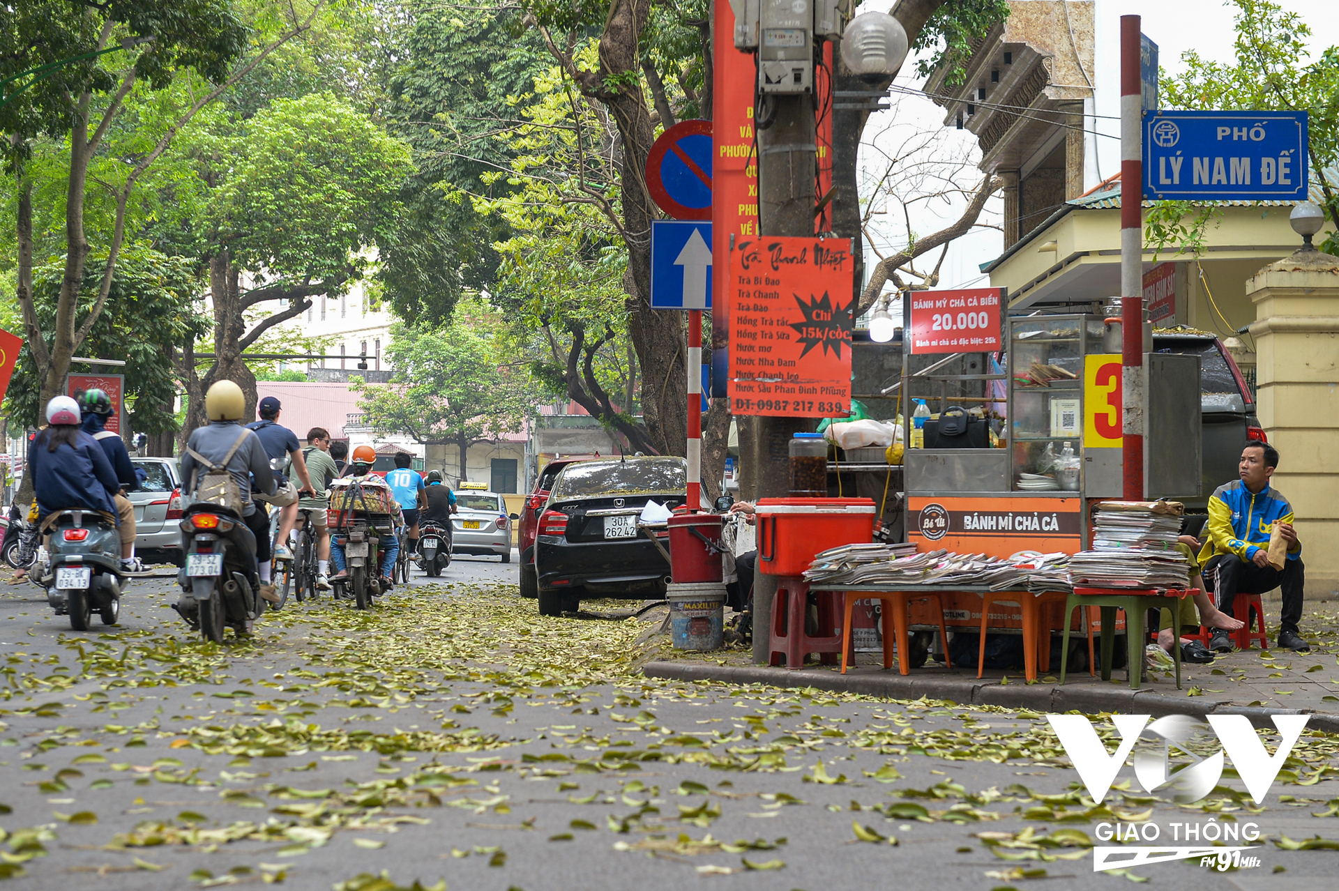 Đây cũng là mùa những cây sấu trên phố Phan Đình Phùng rụng lá.