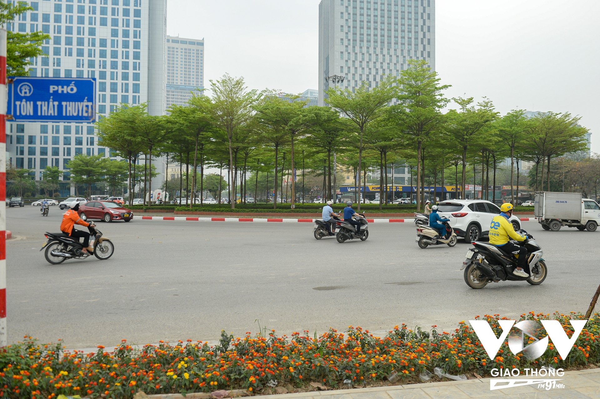 Những ngày này đi qua một số tuyến phố của Hà Nội không khó để bắt gặp hình ảnh những cây bàng Đài Loan (Bàng lá nhỏ) đã bật lá mới màu xanh mướt.
