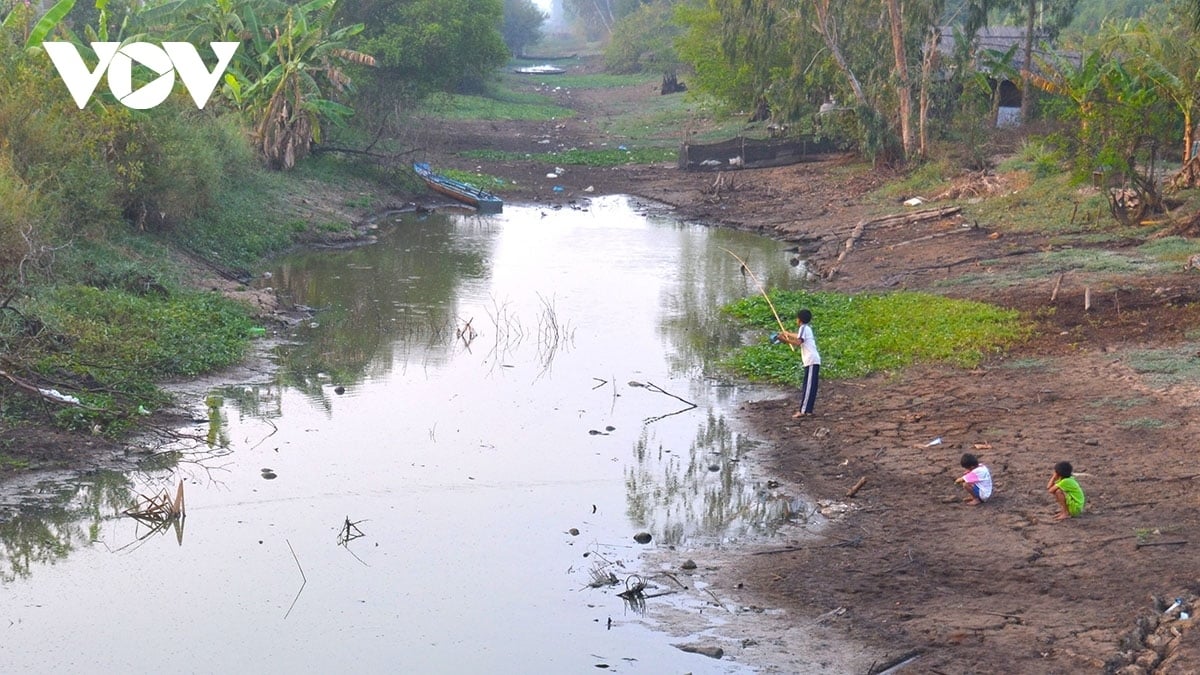 Con rạch cạn nước trên địa bàn huyện Trần Văn Thời ( Cà Mau). Đây là vùng ngọt hóa nhưng hạn đến cũng phải chịu cảnh thiếu nước ngọt. (Ảnh: VOV)