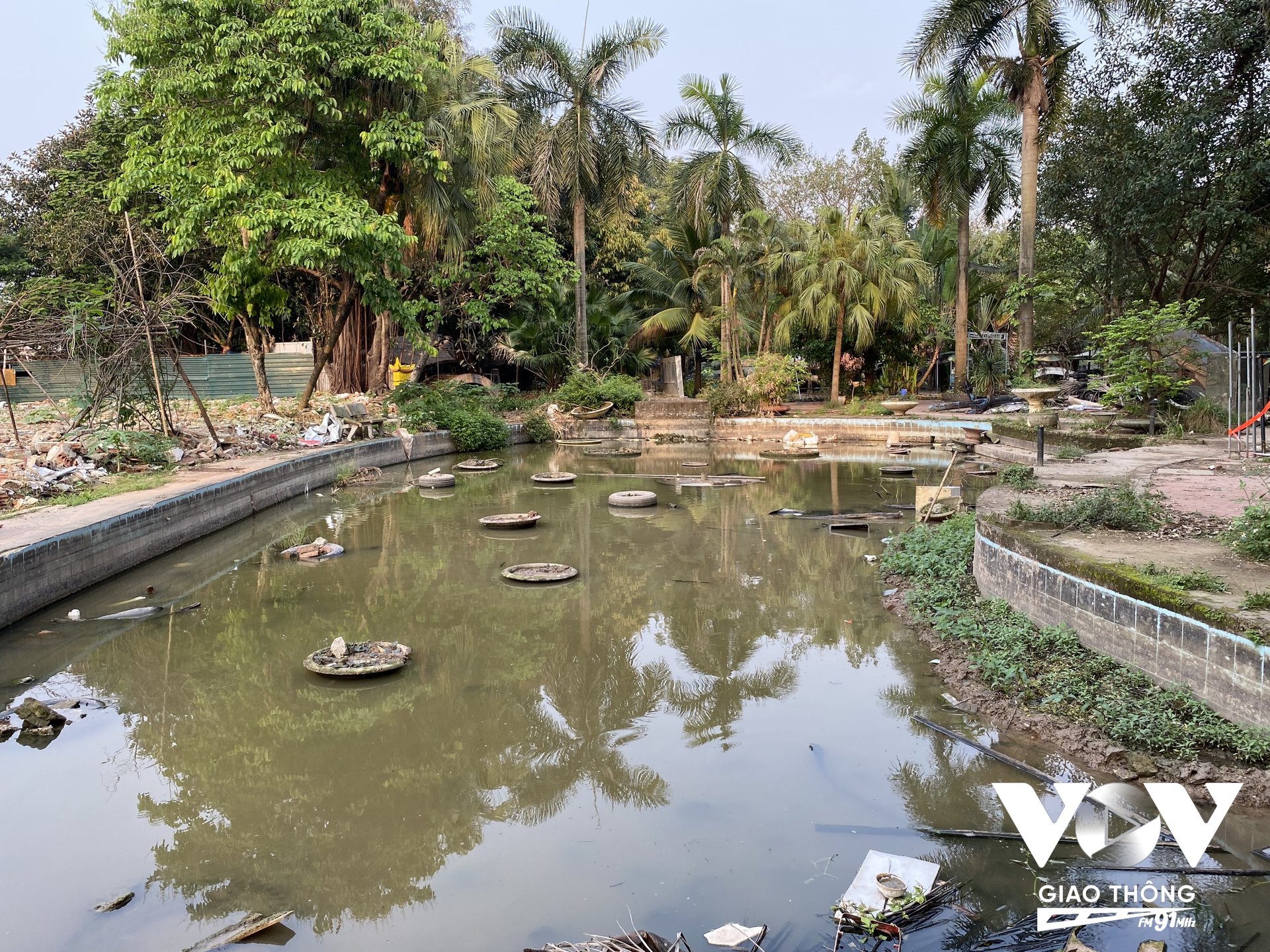 Khu vực hồ nước trong công viên Tuổi trẻ Thủ Đô lâu ngày đã trở thành ''ao tù'' cho các loài động vật
