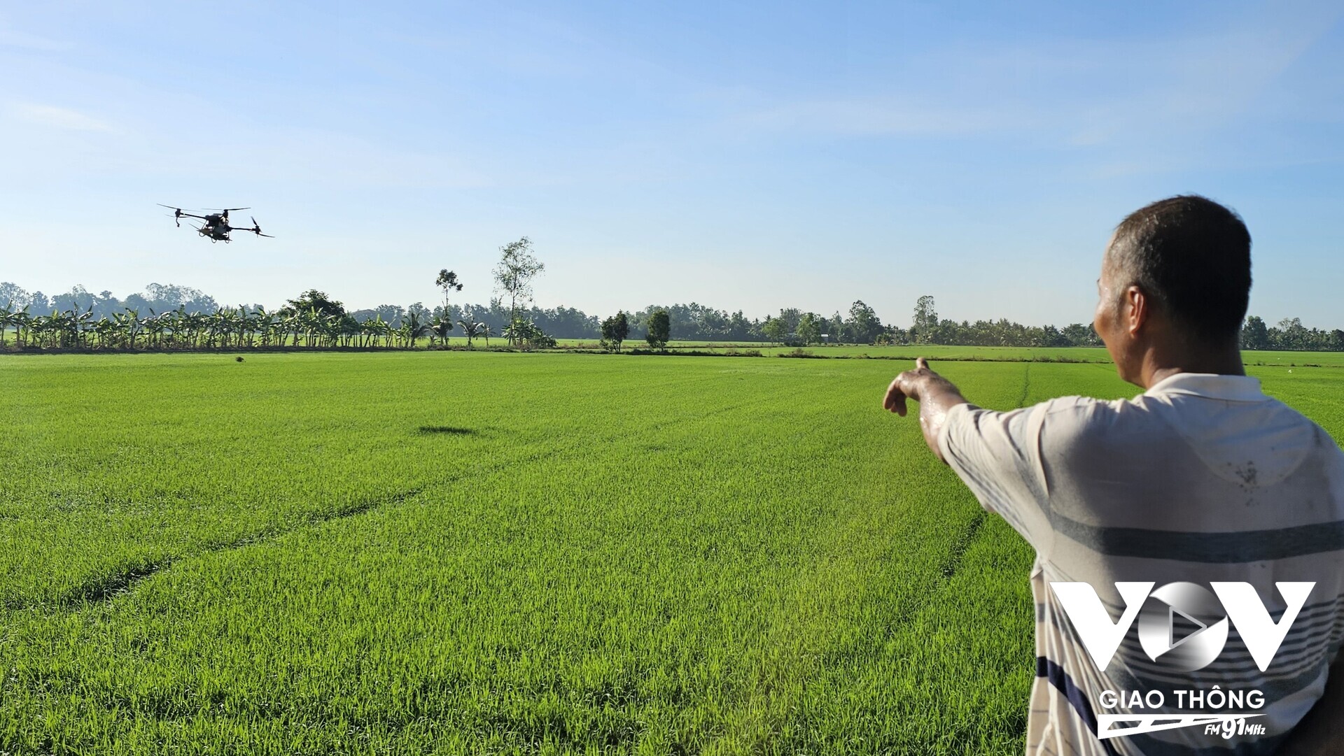 Ảnh: Ứng dụng máy móc vào canh tác lúa, giúp nông dân nhẹ công chăm sóc (Thanh Phê/Mekong FM)