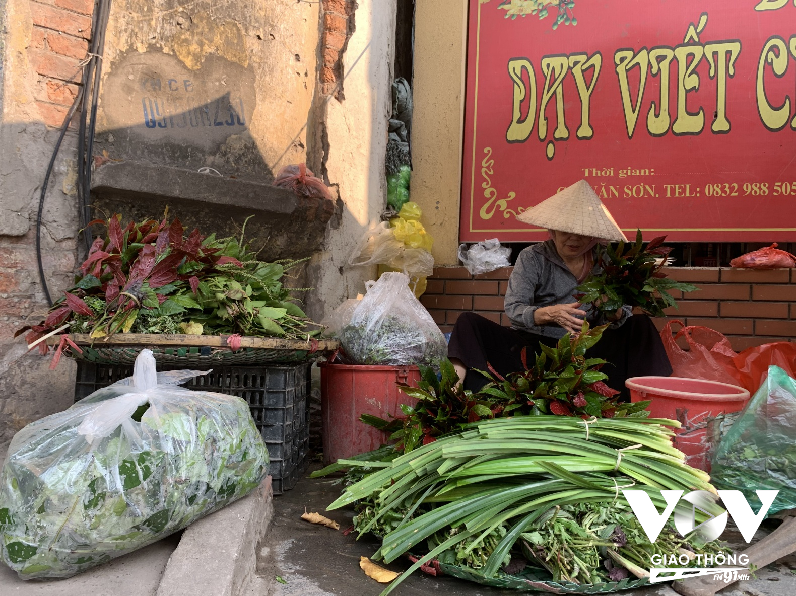 Sát đường Thụy Khuê, dưới cổng làng Yên Thái, bà Hảo đã 30 năm nay bất kể nắng mưa, đều đặn bày sạp hàng bán đủ loại lá thơm hái ở vườn quê