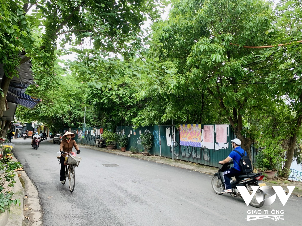 Những người lao động cũng đã mơ về mùa lá biếc chở che