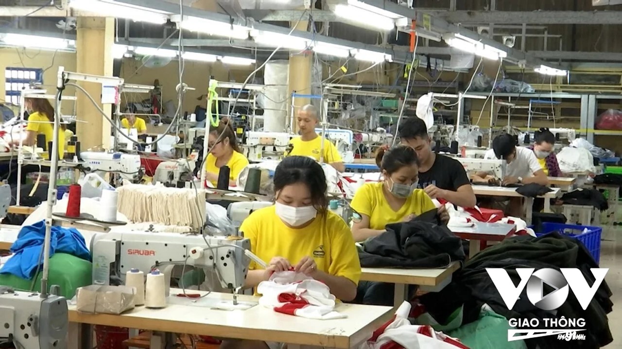 Nhiều nhà máy không đóng bảo hiểm xã hội cho công nhân khiến nhiều quyền lợi người lao động thiệt thòi