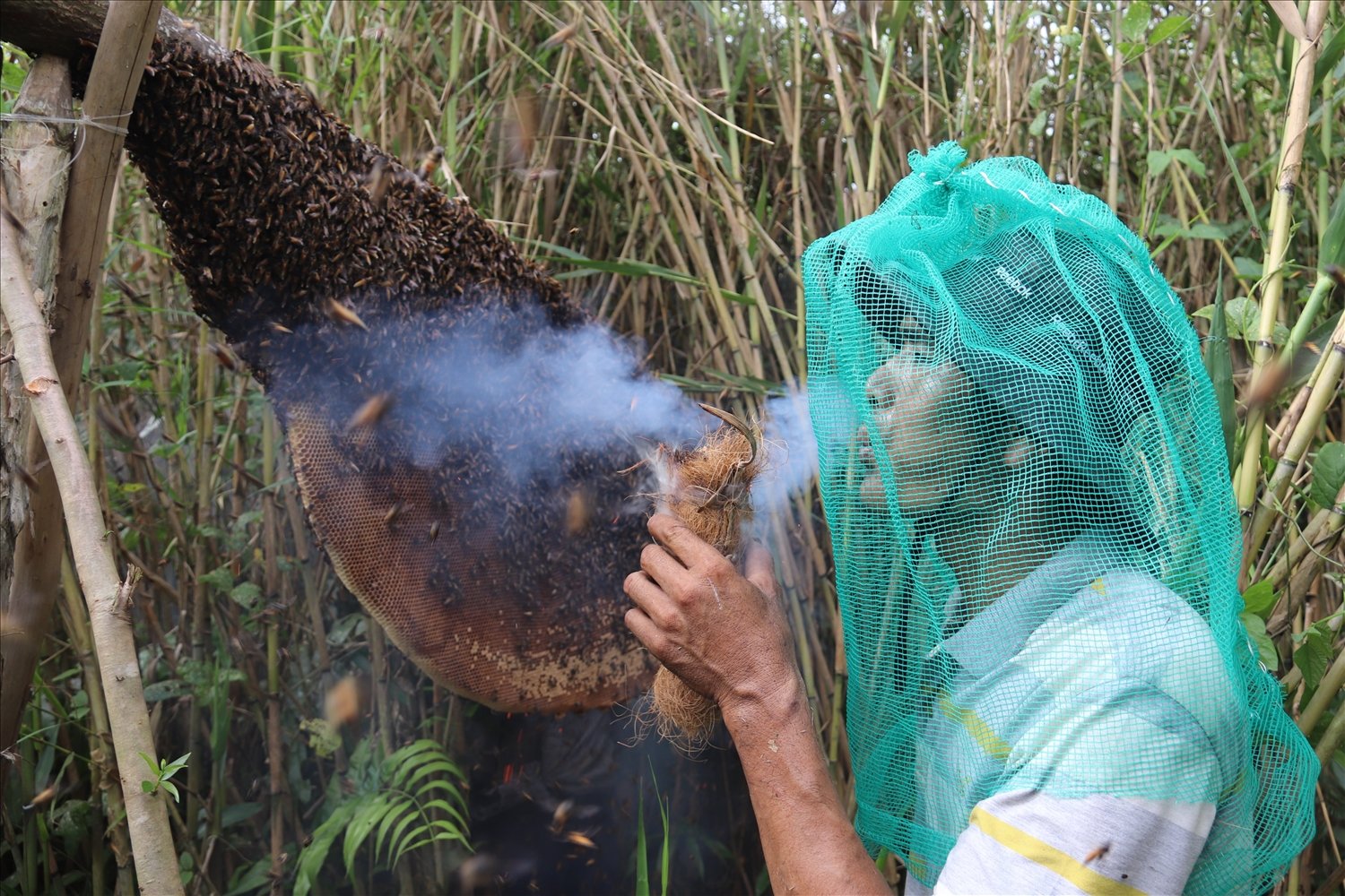 Gác kèo ong: Nguồn Nông thôn Việt
