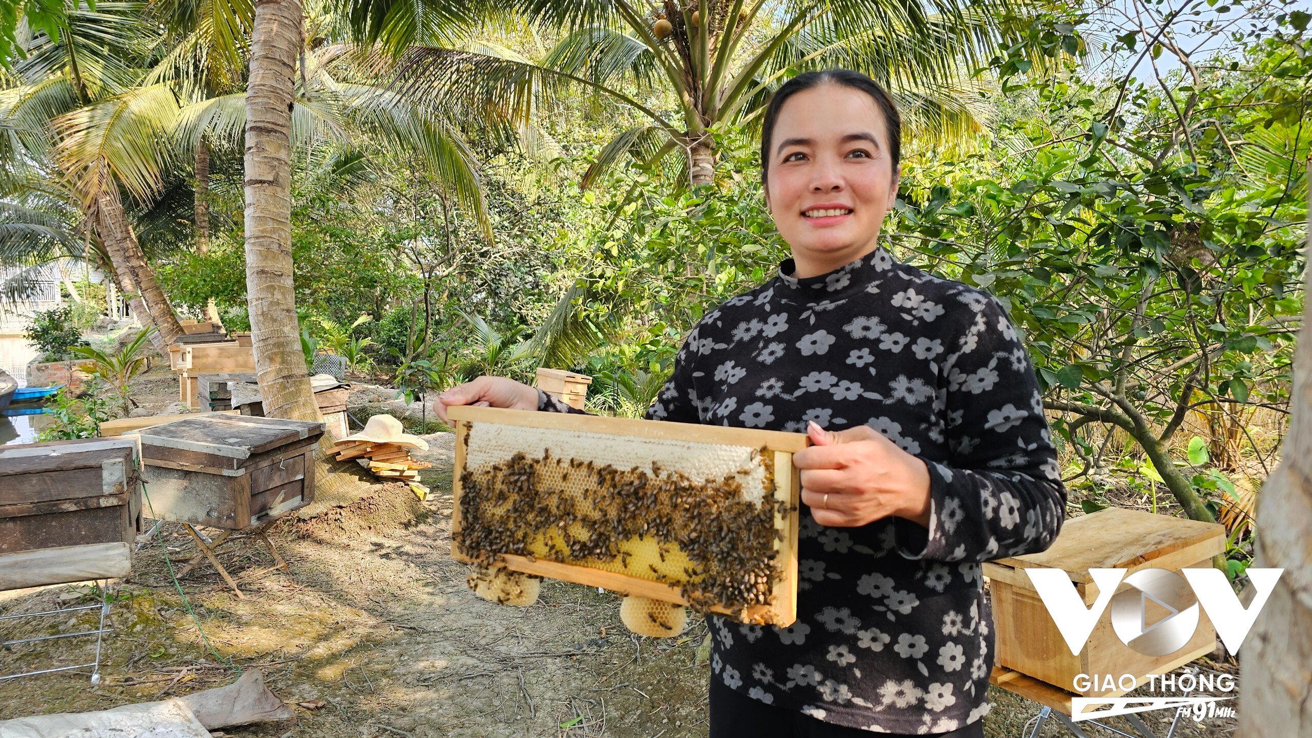 Chị Kim Toàn hiện nuôi khoảng 130 thùng ong lấy mật trong vườn nhà. Ảnh: Thanh Phê