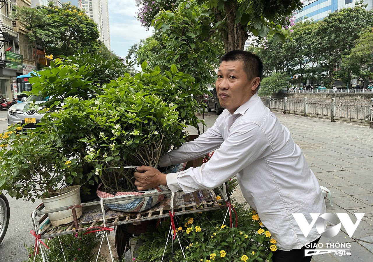 Anh N. quê ở Hưng Yên, một người bán cây cảnh rong trên phố cho biết, mỗi ngày anh bán cả chục chậu cây cảnh, cho thu nhập tiền triệu, chủ yếu là cây hoa nhỏ trồng chậu để người mua mang về treo, đặt ở ban công nhà...