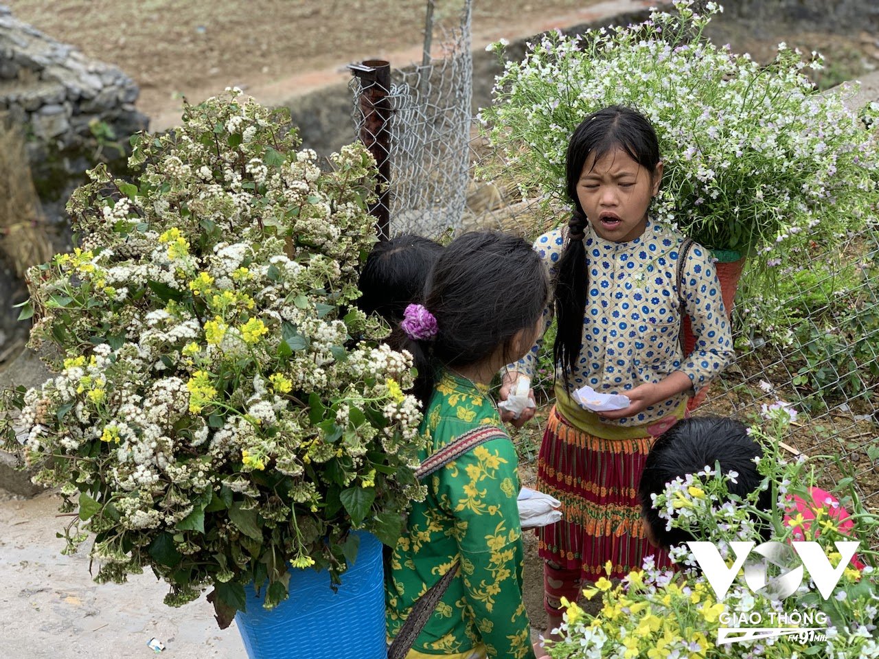 Những em bé gái ở Quản Bạ, Hà Giang nhiều năm nay đã quen với việc làm 'dịch vụ' cho du khách chụp ảnh cùng