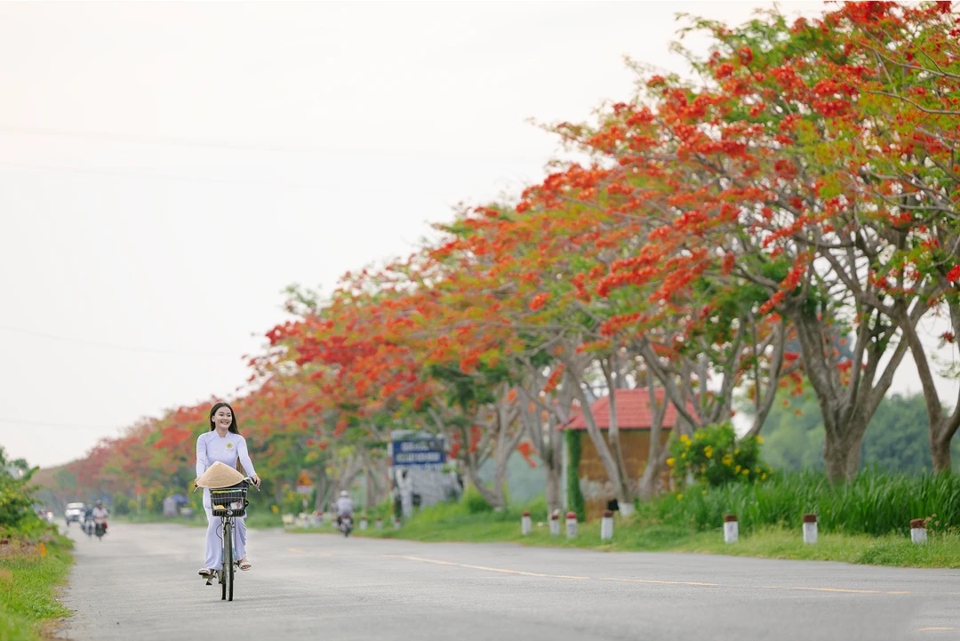 Nguồn: Báo Thanh Niên