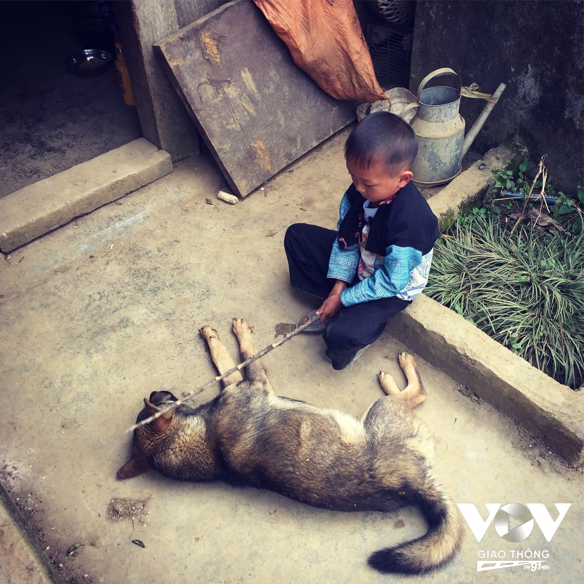 Cậu bé người Mông chơi đùa với chú chó của mình ở Mộc Châu...