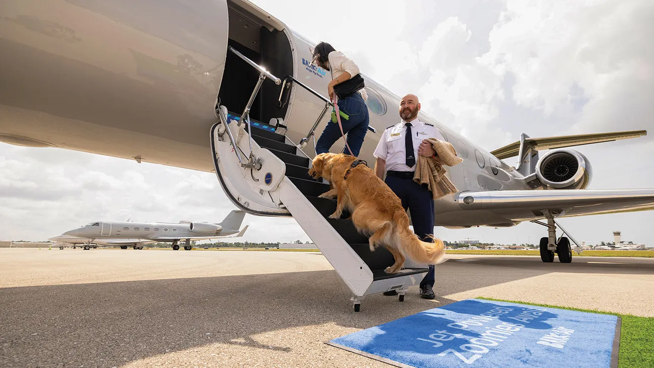 Hãng hàng không Bark Air chính thức khai thác chuyến bay thương mại đầu tiên dành cho thú cưng vào ngày 23/5. Ảnh: Bark Air