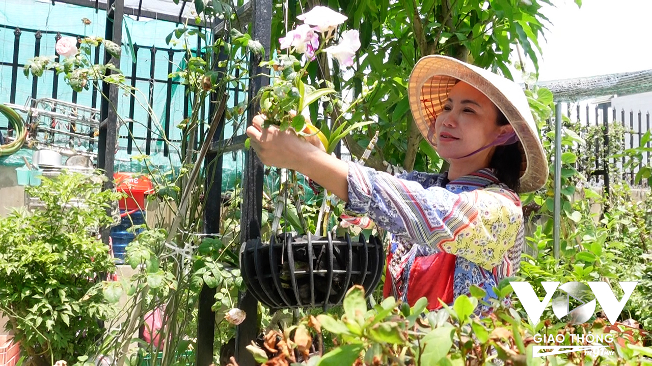 Bên khoảng sân vườn rộng rãi, bác sĩ Nga vẫn thường xuyên chăm chút cho những luống rau, trái cây...