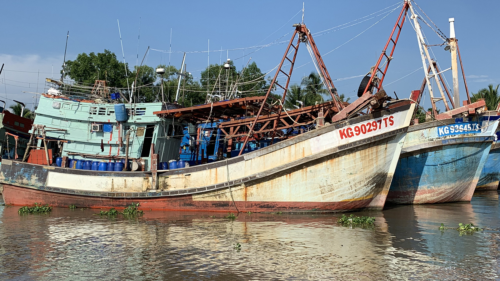 Ảnh minh họa