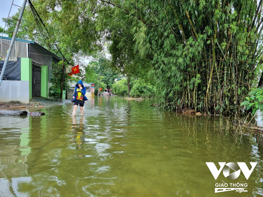 Trong khoảng 15 năm trở lại đây, đã có 4 lần nước tràn qua đê hữu Bùi gây ngập lụt tại huyện Chương Mỹ, Hà Nội (Ảnh - Minh Hiếu)