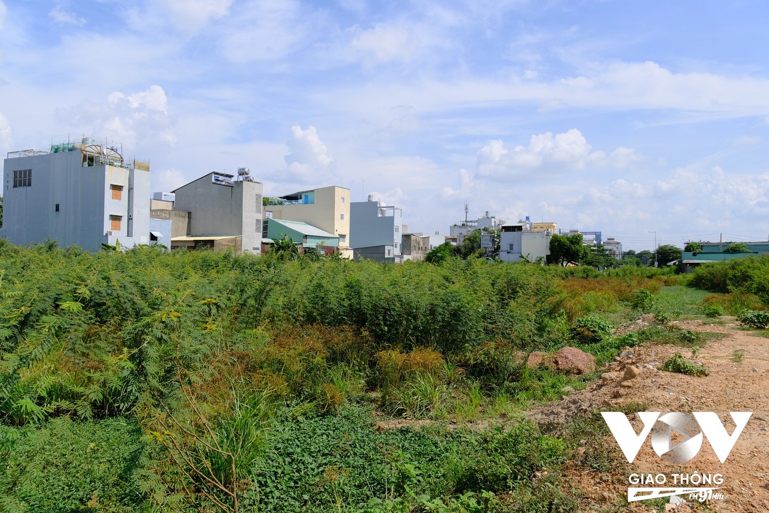 Khoảng 300m còn lại tại đường Nguyễn Ảnh Thủ giờ đây cỏ mọc cao hơn cả đầu người