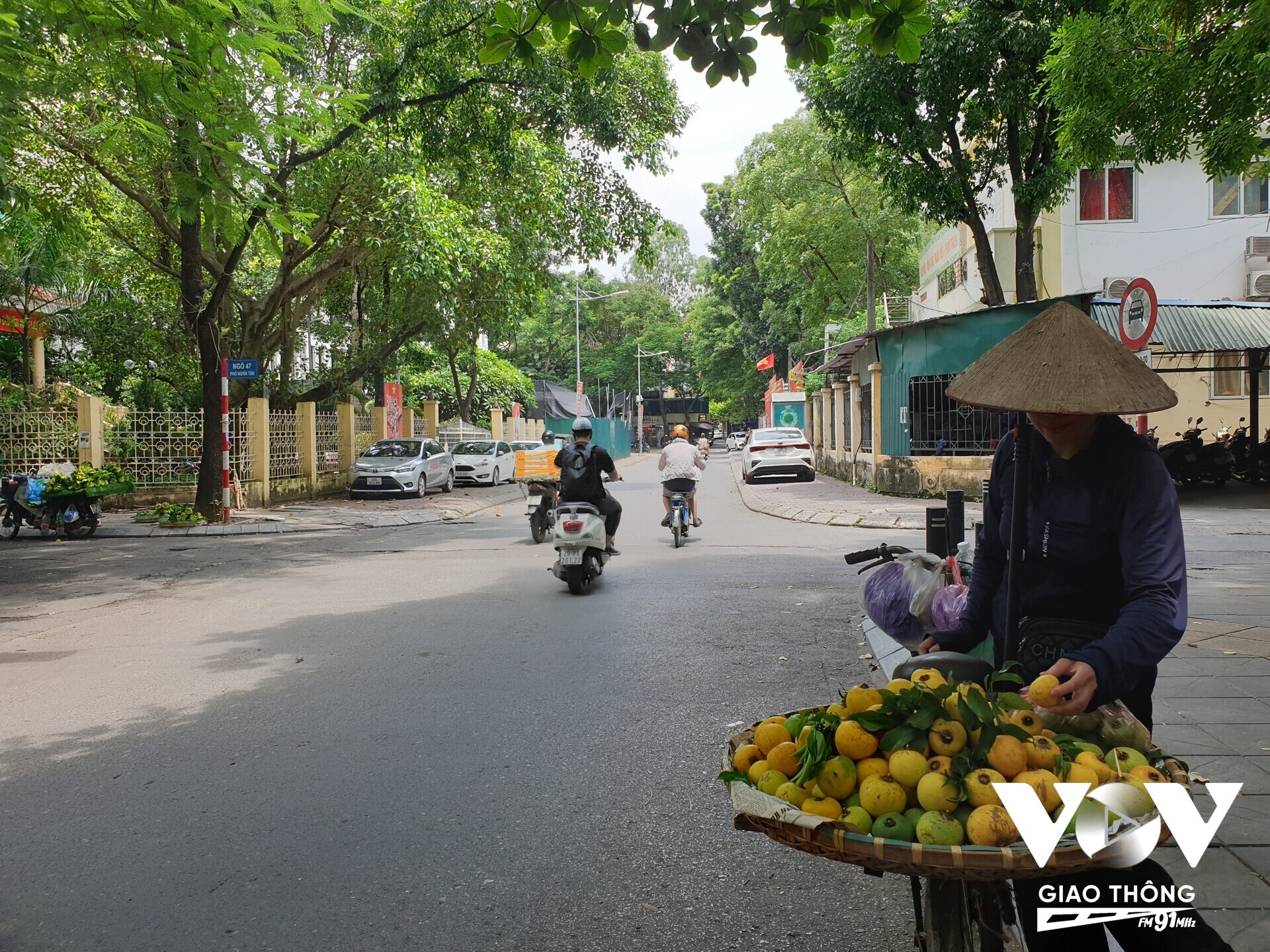 Màu vàng tươi của thị thơm và nắng vàng trên phố những ngày chớm thu này thật dễ níu chân bộ hành (Ảnh: Vũ Loan)