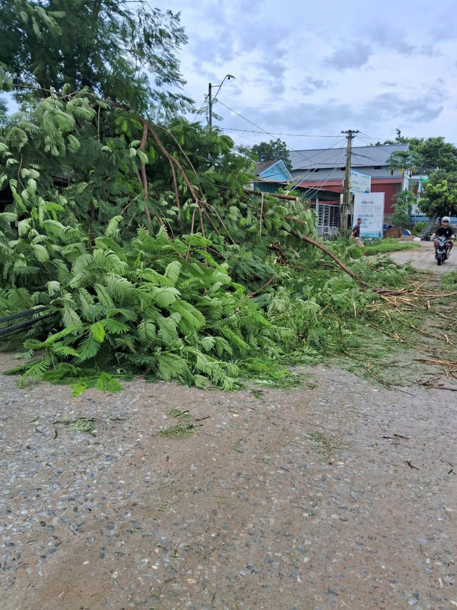 Văn Yên - Yên Bái bị ảnh hưởng bởi cơn bão số 3. (Ảnh: Bui Minh Thang/OFFB)