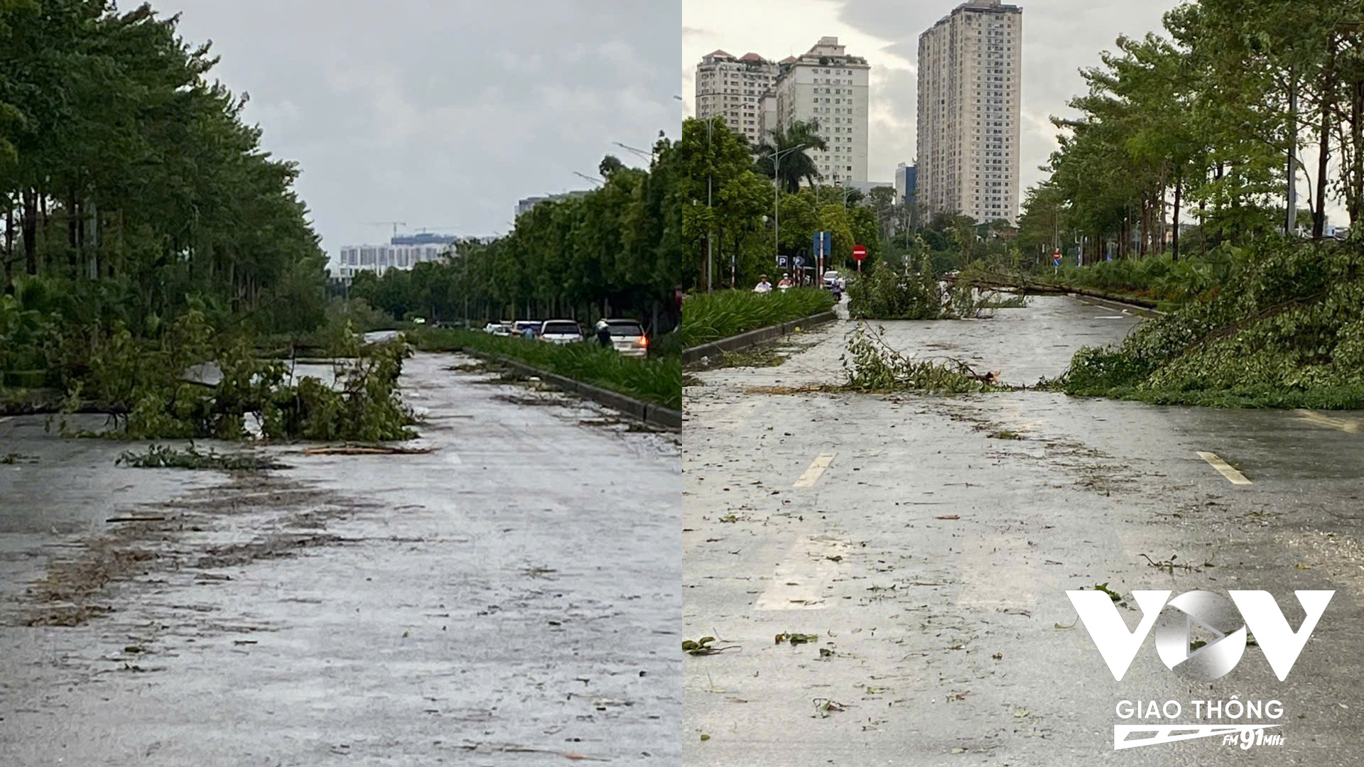 Đường Phạm Tu nhiều cây to đổ chắn ngang đường, không lưu thông được (Ảnh: Khắc Chính)