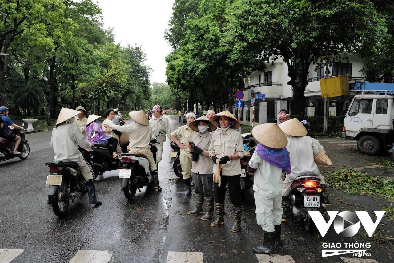 Công nhân công ty công viên cây xanh và các lực lượng khác như cảnh sát giao thông, dân phòng, cứu hỏa... khẩn trương chặt cây đổ, thu dọn đường phố để đảm bảo giao thông cho người dân