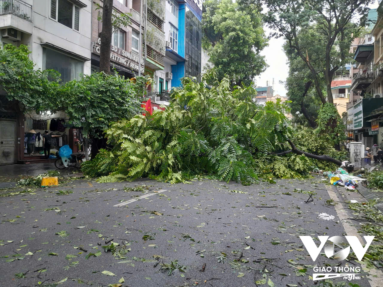 Phố Ngô Thì Nhậm cây đổ chắn hết làn đường, rất khó để di chuyển qua đây (Ảnh: Chấn Hải)