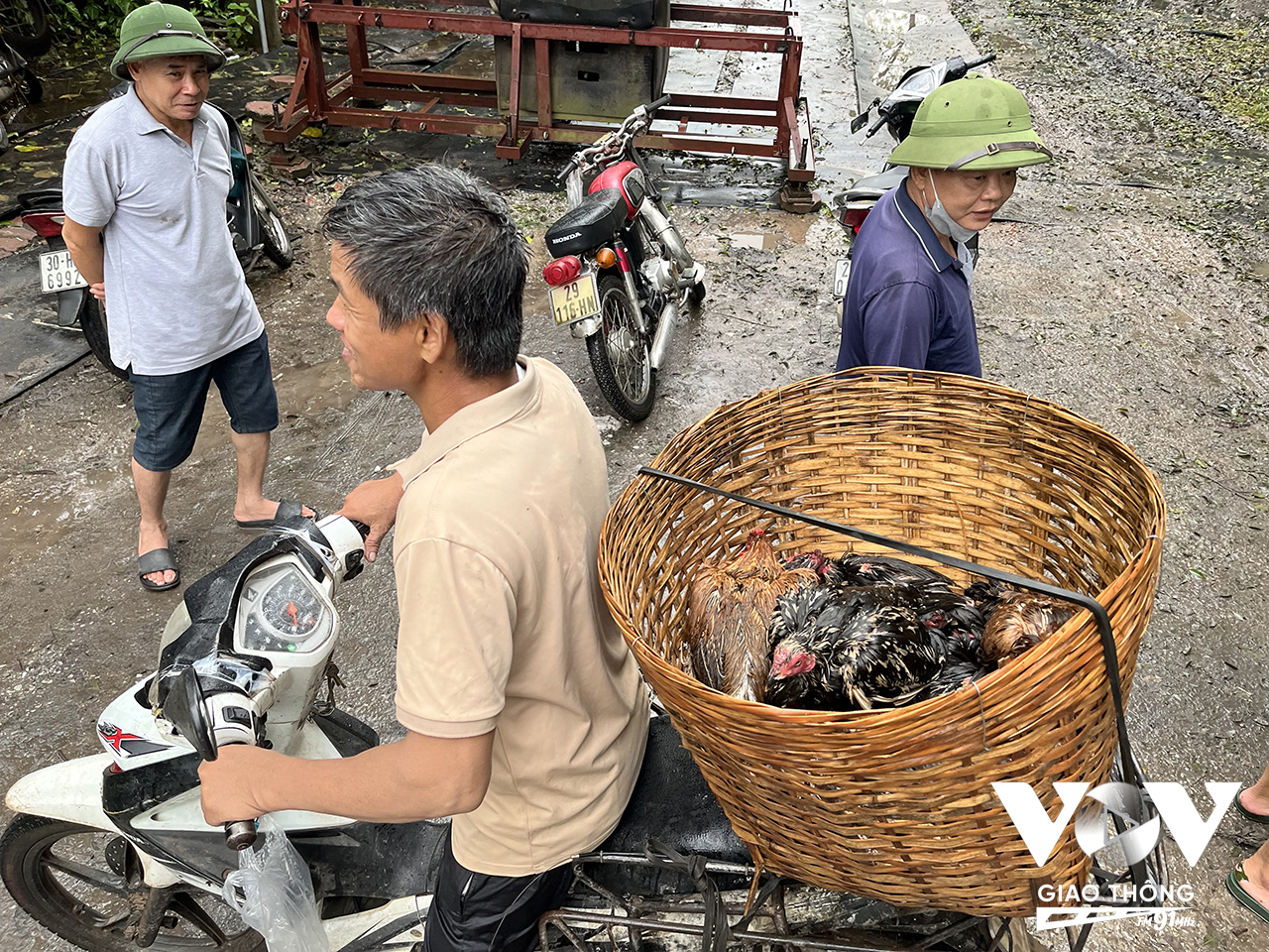 Nhiều người vẫn còn gia súc, gia cầm chưa thể di chuyển khỏi khi vực nước lên nhưng đến nay cũng không được vào để đảm bảo an toàn