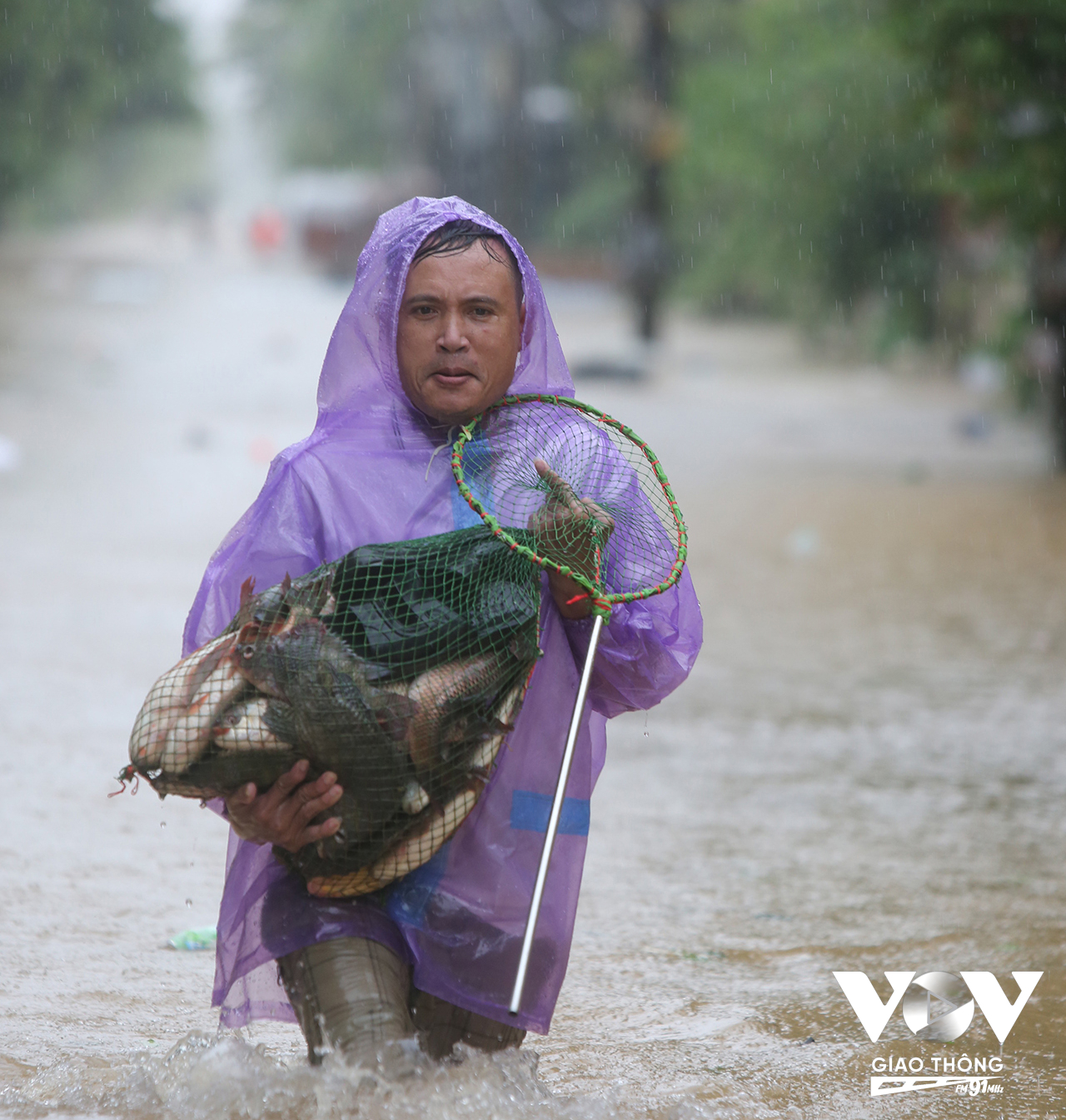 Và đây là thành quả sau buổi sáng lao động vất vả