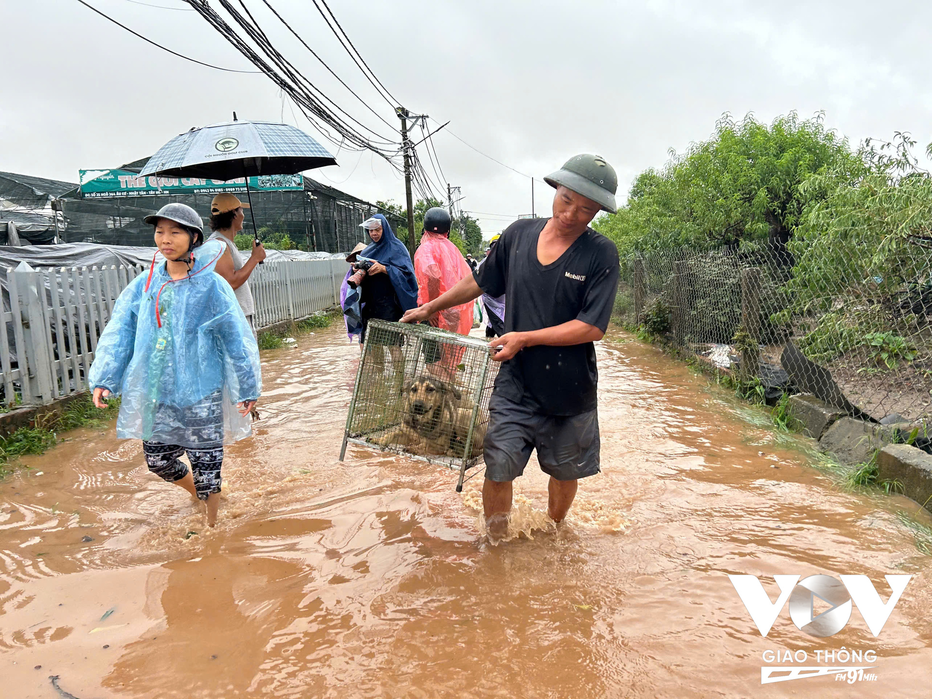 Người dân tại đây đang vận chuyển đồ đạc còn lại trong nhà, kê cao đào quất để tránh ngập úng (Ảnh: Hải Bằng/VOVGT)