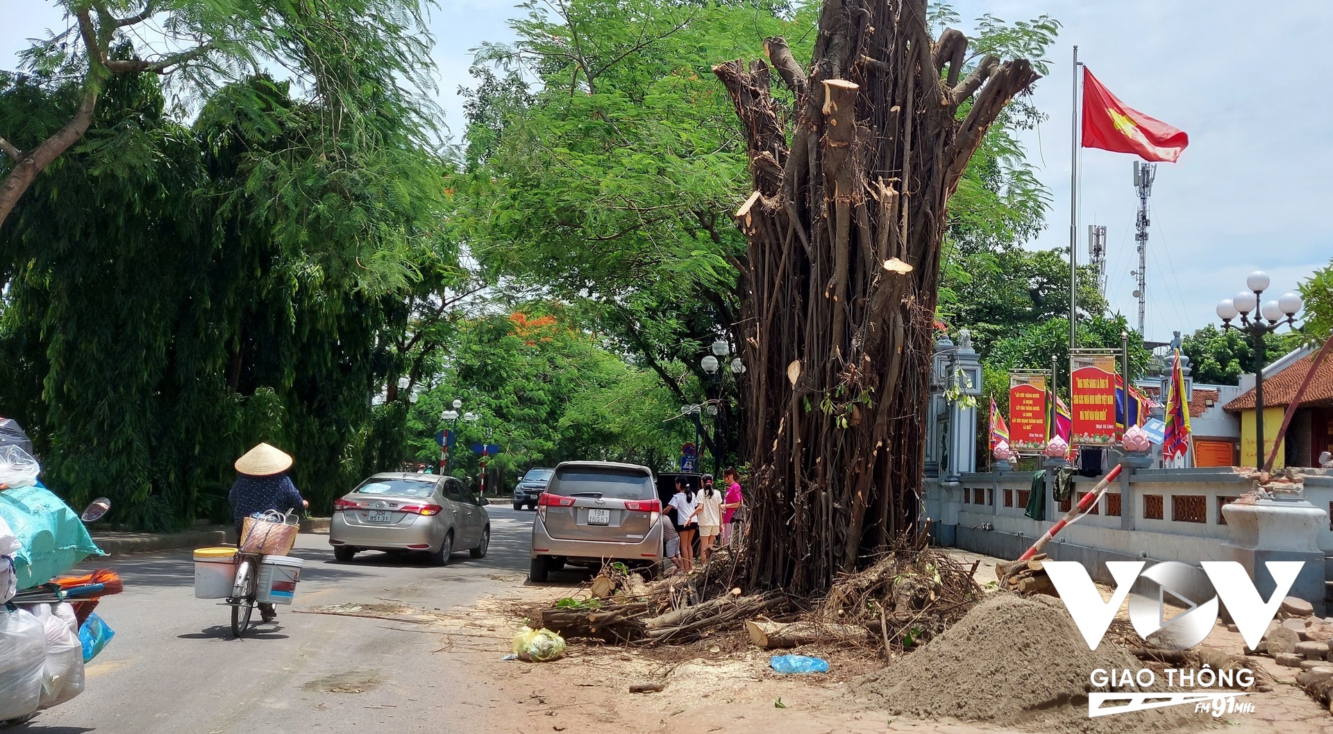 Để có thể dựng lại cội cây này, hàng chục công nhân và người dân và nhiều xe cẩu cỡ lớn đã được huy động