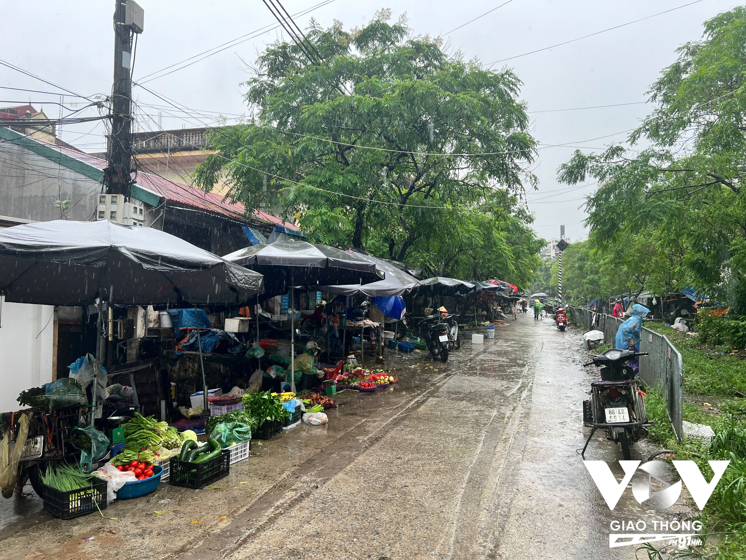 Chợ tự phát tại ngõ 119 Cổ Nhuế buôn bán ngay cạnh đường tàu, rào chắn thì lỏng lẻo tiềm ẩn nguy cơ mất an toàn giao thông. Biển cấm đổ rác thải ra sát đường tàu vẫn bị làm ngơ, người dân bất chấp xả rác.