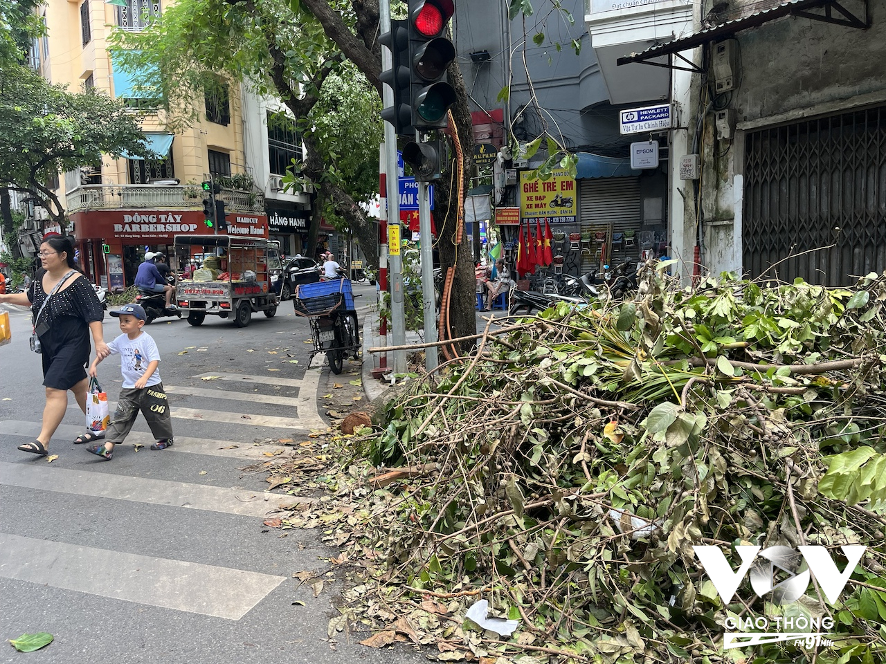 Nhưng đống 'rác cây' nằm giữa ngã tư phố Quán Sứ - Hàng Bông