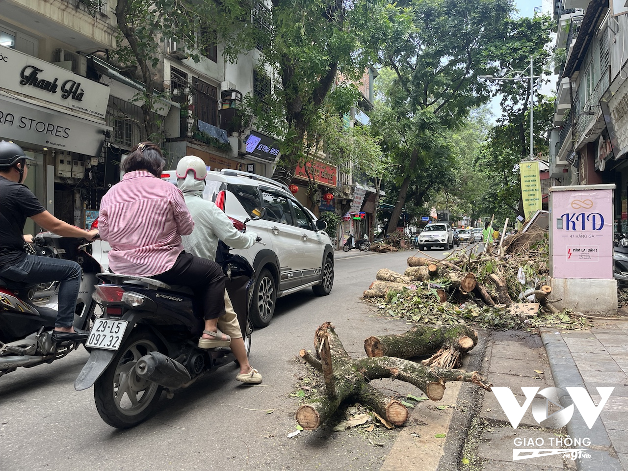 Những gốc cây đổ gãy đã được cắt gọn và dọn cành lá nhưng vẫn chưa thể di chuyển trên phố Hàng Điếu