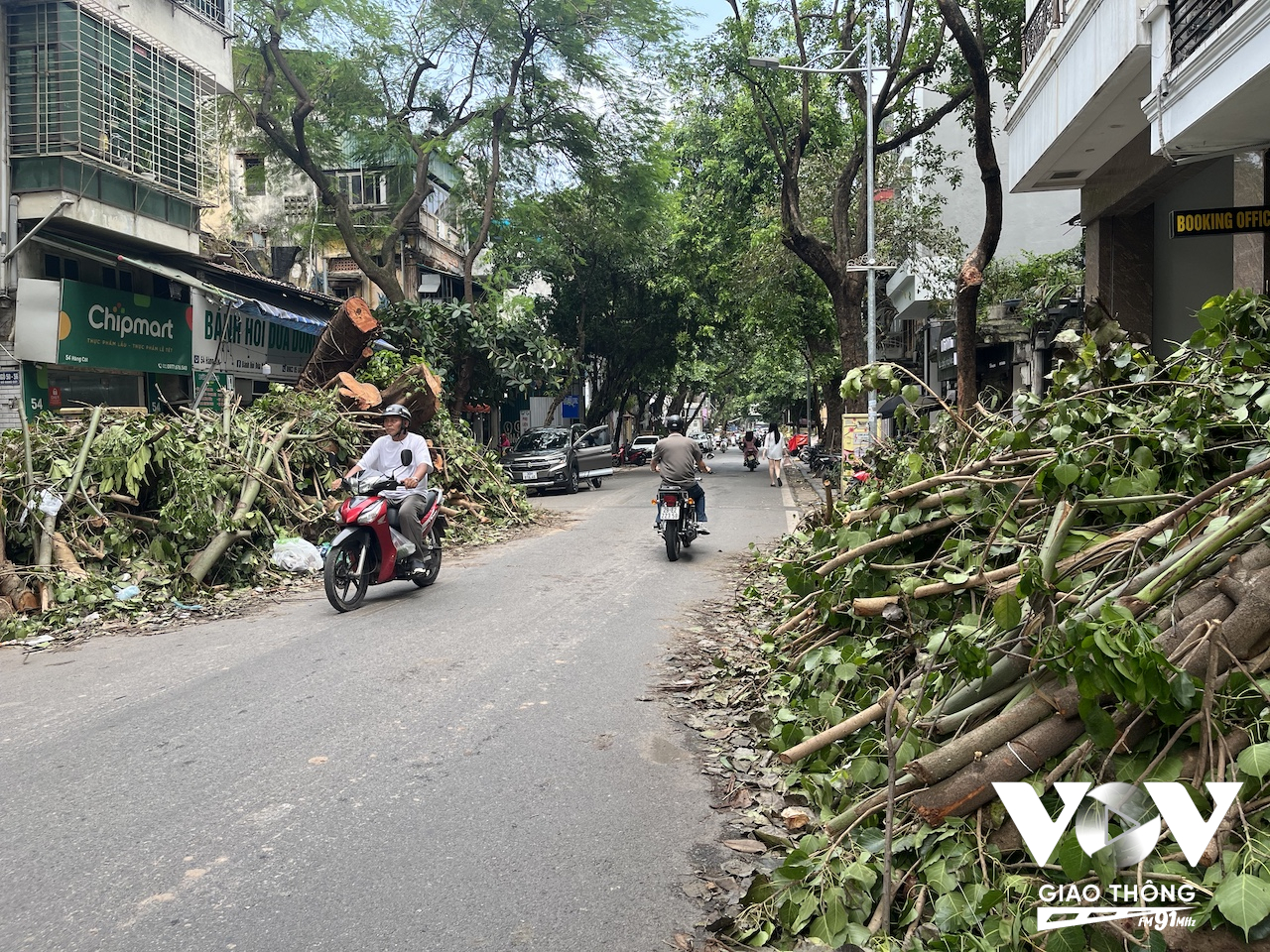 Cây gãy đổ vẫn chất đống hai bên đường gây cản trở giao thông