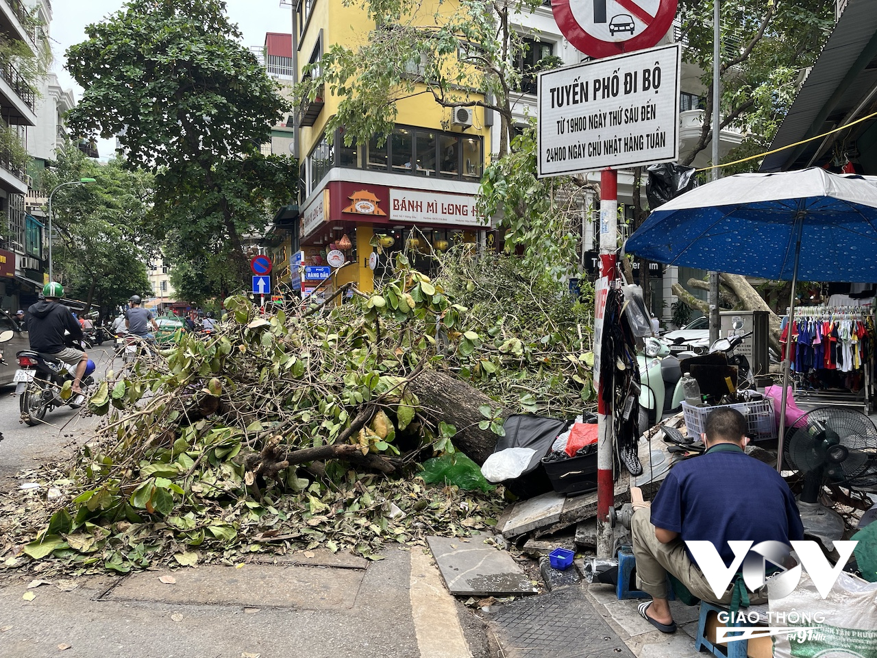 Phố Hàng Dầu có khá nhiều cây đổ và đến nay vẫn chưa thể thu dọn hết